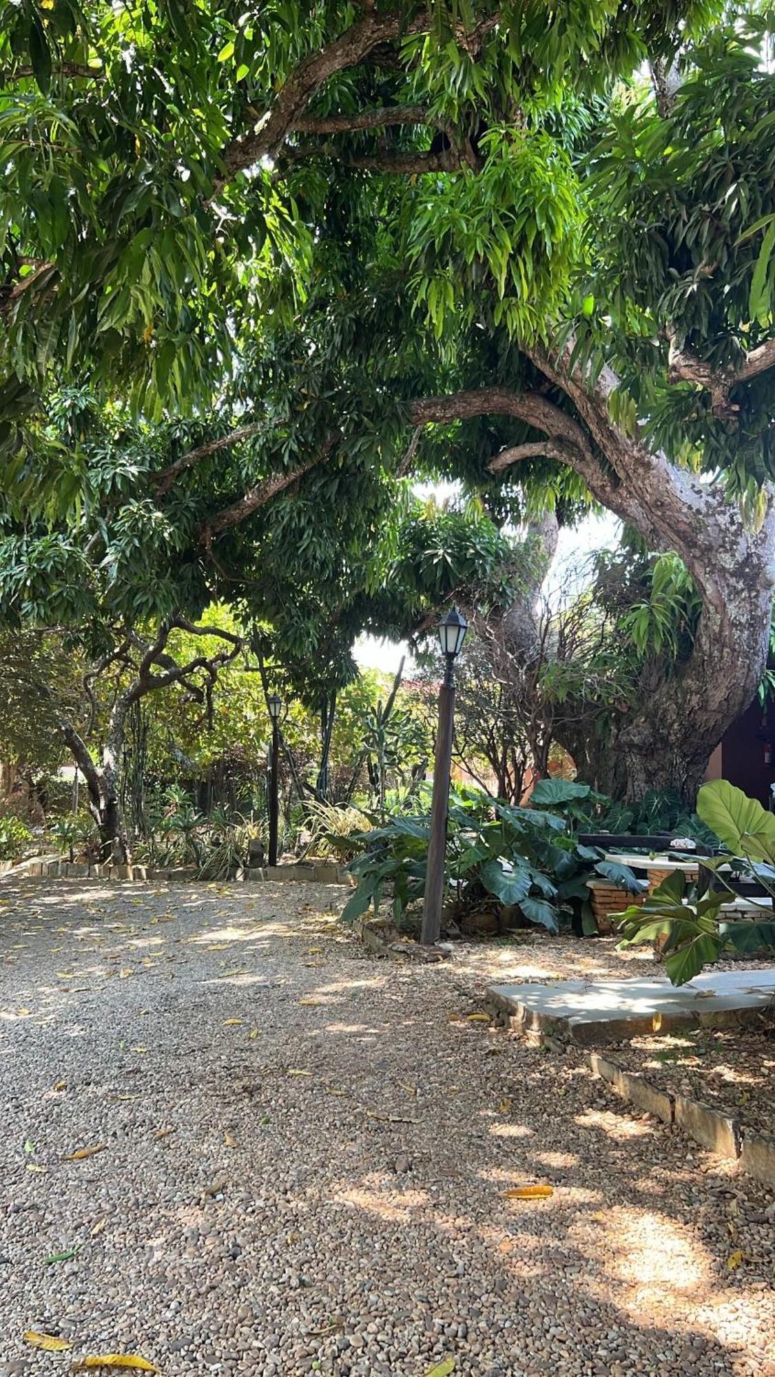 Pousada Casagrande Pirenopolis Ngoại thất bức ảnh